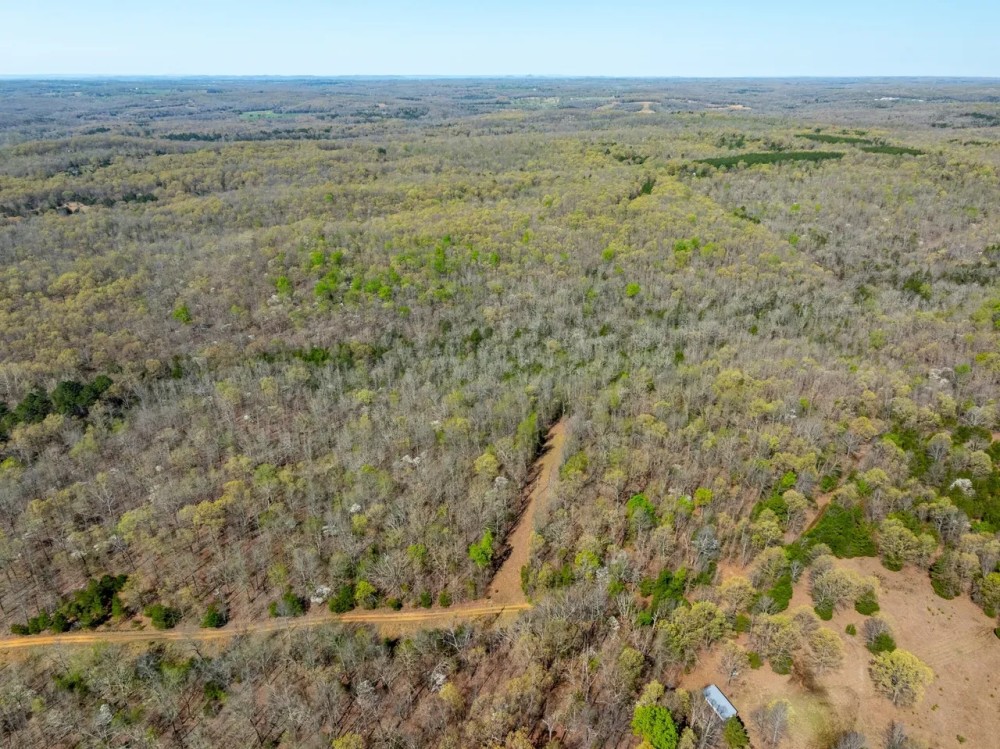 30 - Acres Hunting Property in the Ozarks Izard County Arkansas featured image