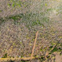 30 - Acres Hunting Property in the Ozarks Izard County Arkansas images 2