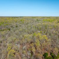 30 - Acres Hunting Property in the Ozarks Izard County Arkansas images 4
