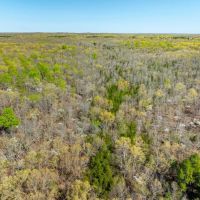 30 - Acres Hunting Property in the Ozarks Izard County Arkansas images 5