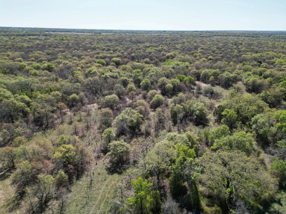 New Listing 94.17 - Ac Callahan County featured image