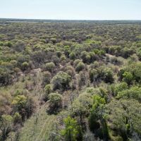 New Listing 94.17 - Ac Callahan County