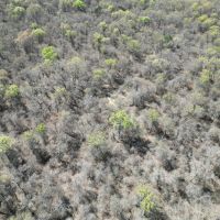 New Listing 94.17 - Ac Callahan County images 5