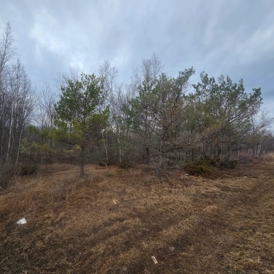 10.5 acre Building Lot Power Available Orleans NY featured image