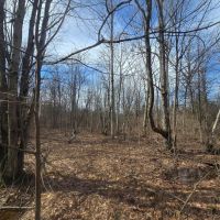 10.5 acre Building Lot Power Available Orleans NY images 3