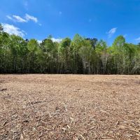 29.54 acres of Residential and Investment Land For Sale in Nash County NC