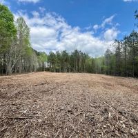 29.54 acres of Residential and Investment Land For Sale in Nash County NC images 2