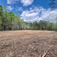 29.54 acres of Residential and Investment Land For Sale in Nash County NC images 3