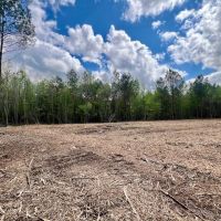 29.54 acres of Residential and Investment Land For Sale in Nash County NC images 4