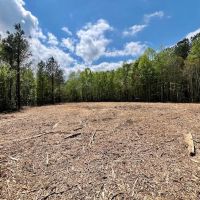 29.54 acres of Residential and Investment Land For Sale in Nash County NC images 5