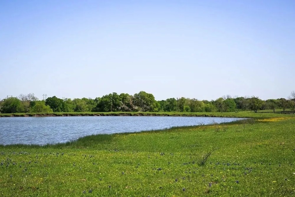 84 acres Caney Creek Rd Chappell Hill TX 77426 featured image