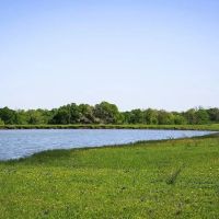 84 acres Caney Creek Rd Chappell Hill TX 77426
