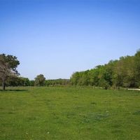 84 acres Caney Creek Rd Chappell Hill TX 77426 images 3
