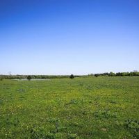 84 acres Caney Creek Rd Chappell Hill TX 77426 images 4