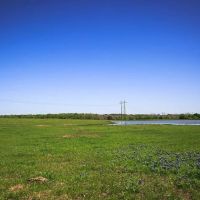 84 acres Caney Creek Rd Chappell Hill TX 77426 images 5