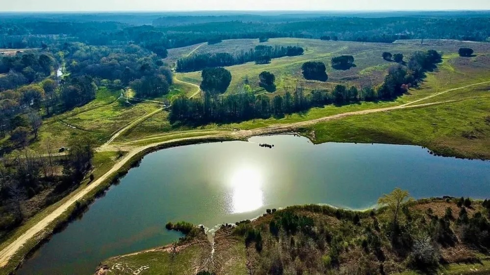 Linden Lake Ranch featured image