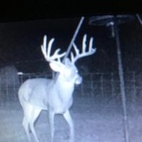 Linden Lake Ranch images 3
