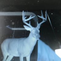 Linden Lake Ranch images 4