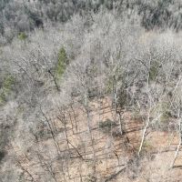 UPDATED 21 acres of Residential or Recreational Land for Sale in Buchanan County VA images 4