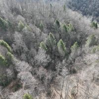 UPDATED 21 acres of Residential or Recreational Land for Sale in Buchanan County VA images 5