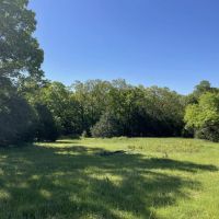 60 - Acres Pasture Barn HWY 345 frontage Oxford AR images 2