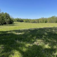 60 - Acres Pasture Barn HWY 345 frontage Oxford AR images 5