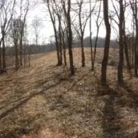 9.37 AC WATER ELECTRIC FIBER OPTICS BUILDING SITES NO RESTRICTIONS