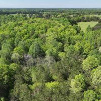 11.39 Acres in Pickens County AL images 4