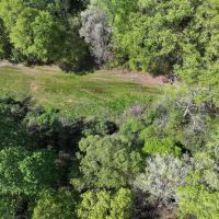 11.39 Acres in Pickens County AL images 5