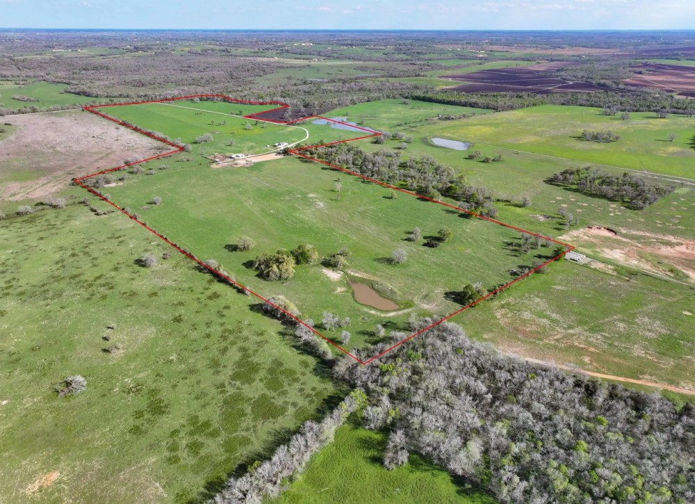 11581 County Road 419 Navasota Texas 77868 featured image