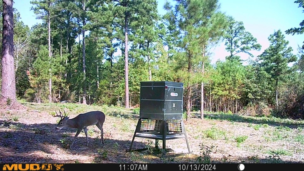 146 Acres PR 8079 Ben Wheeler featured image