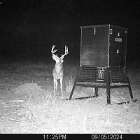 146 Acres PR 8079 Ben Wheeler images 5