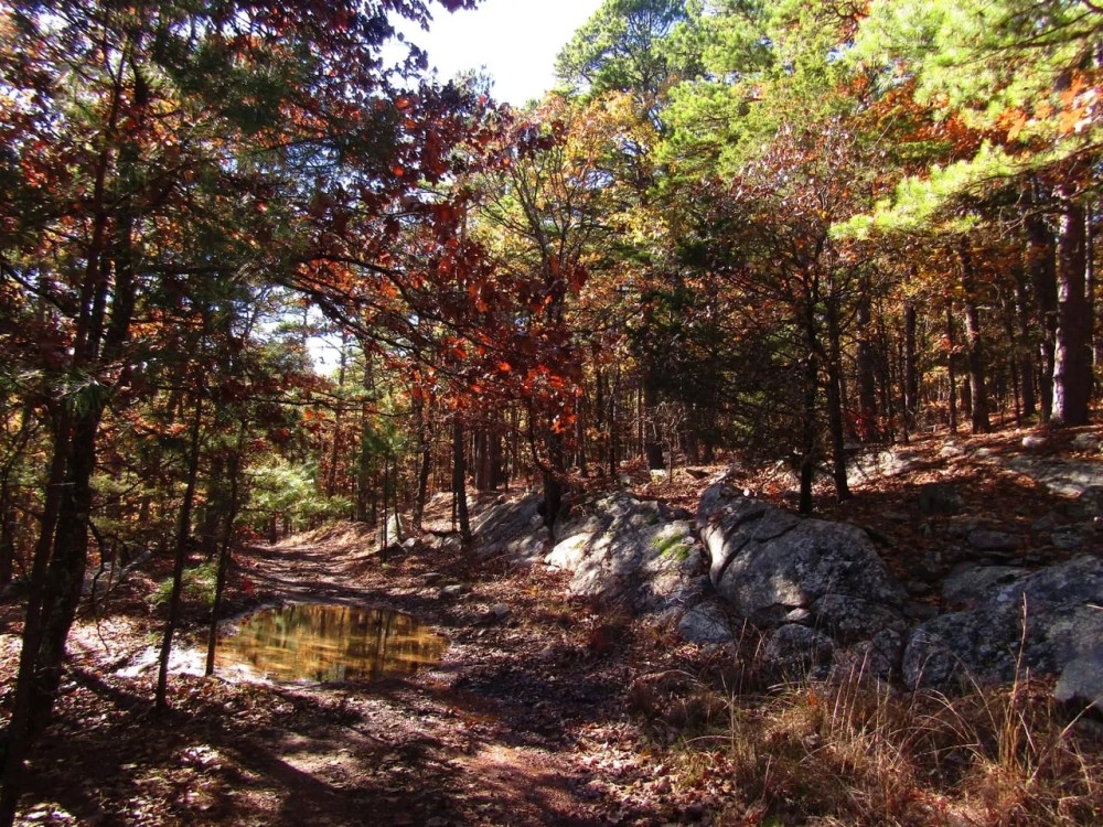 Secluded Unrestricted Kiamichi Wilderness Building Lot on Edge of Shorty Creek Pushmataha County OK 5 AC featured image