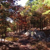 Secluded Unrestricted Kiamichi Wilderness Building Lot on Edge of Shorty Creek Pushmataha County OK 5 AC