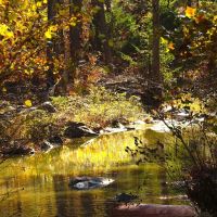 Secluded Unrestricted Kiamichi Wilderness Building Lot on Edge of Shorty Creek Pushmataha County OK 5 AC images 2