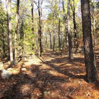Secluded Unrestricted Kiamichi Wilderness Building Lot on Edge of Shorty Creek Pushmataha County OK 5 AC images 3
