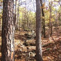 Secluded Unrestricted Kiamichi Wilderness Building Lot on Edge of Shorty Creek Pushmataha County OK 5 AC images 5