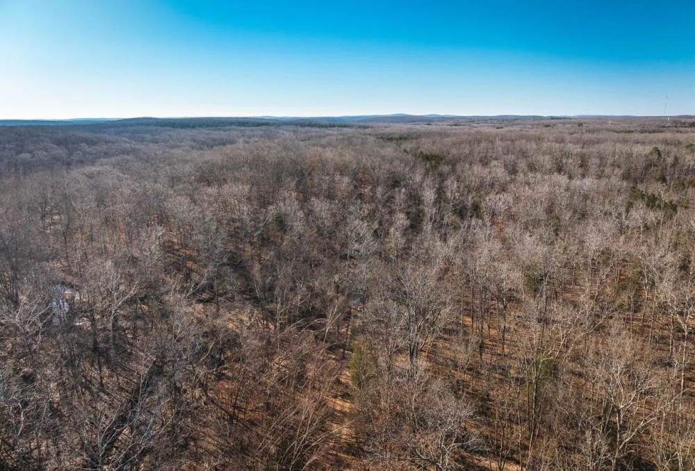 St. Francois Deer and Recreation tract 2 featured image