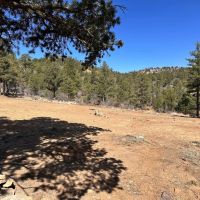 TBD Big Pine Ridge Weston CO 81091 images 3