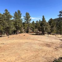 TBD Big Pine Ridge Weston CO 81091 images 4