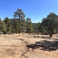 TBD Big Pine Ridge Weston CO 81091 images 5