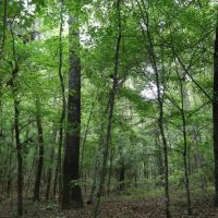 LA - Caldwell 9.5 acres -