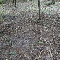 LA - Caldwell 9.5 acres - images 2