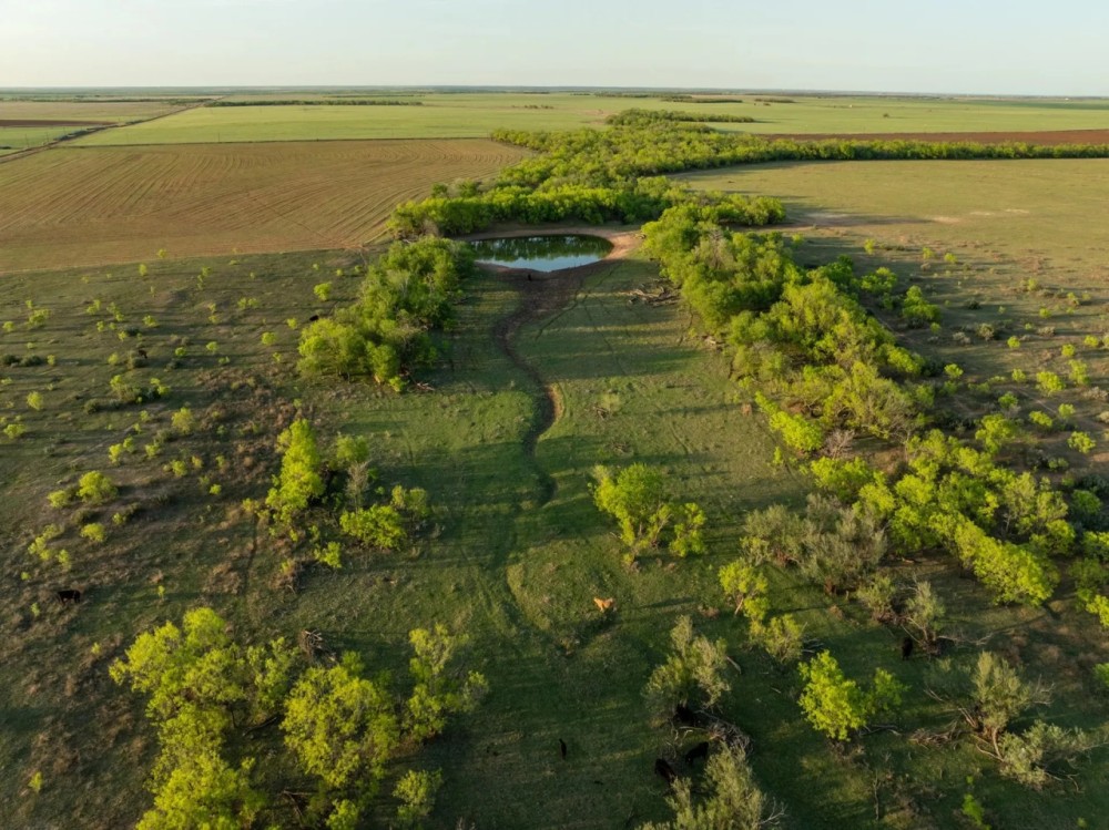 Freeman Pasture featured image
