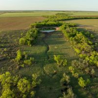 Freeman Pasture
