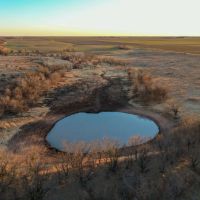 Freeman Pasture images 2