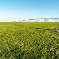 Freeman Pasture images 3