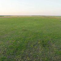 Freeman Pasture images 5