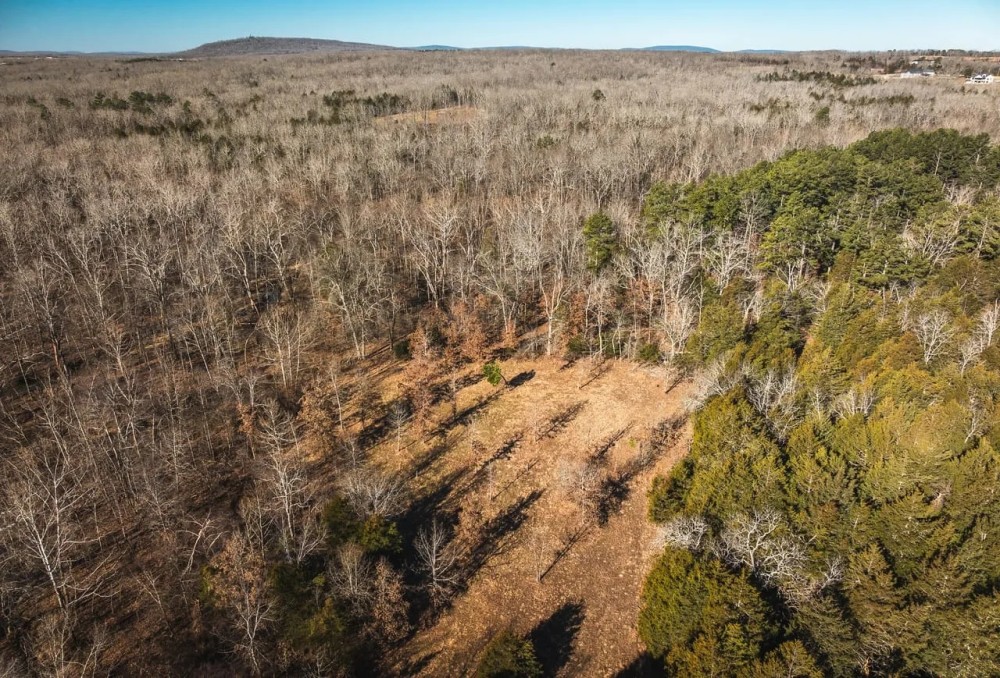 St. Francois Deer and Recreation tract 1 featured image