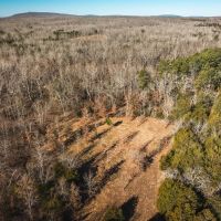 St. Francois Deer and Recreation tract 1